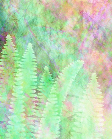 植物溶图图片