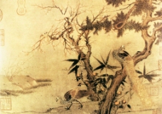 红梅孔雀图图片