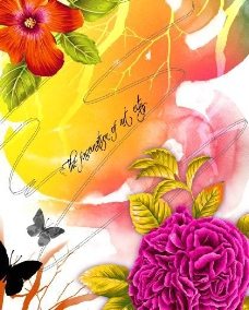 韩国花纹设计图片