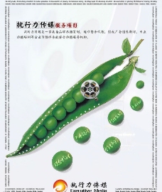 创意广告 豌豆图片