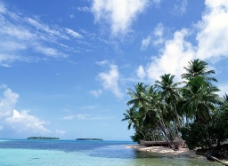 海岛风情椰树蓝天大海海岸美景岛屿风情图片