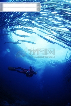 深海鱼深海海底世界生物珊瑚鱼群潜水员探秘礁石安静海胆水母鱼海星