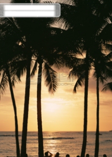 晚霞夕阳夕阳晚霞海岛风情旅游观光沙滩风情海边椰树海浪异国风情