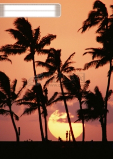 旅游风光海岛风情日落人物旅游观光风情海边椰树异国风情