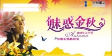2008秋天季节吊旗海报pop图片
