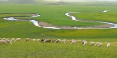 田野间的河流图片