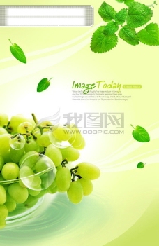 蔬菜瓜果水果瓜果蔬菜青菜食品韩国花纹图库2psd分层素材源文件