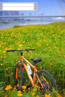 户外休闲亲子休闲脚踏车自行车脚踏车赛车户外运动车道风景草坪