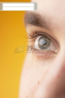特色眼部特写蓝色眼睛绿色眼睛棕色眼睛大眼睛小眼睛双目表情