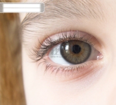 眼部特写 蓝色眼睛 绿色眼睛 棕色眼睛 大眼睛 小眼睛 双目 表情