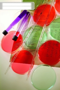 生化科技 试管 细胞组织液 微生物 人体