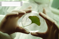 植物生化科技试管细胞组织液微生物人体