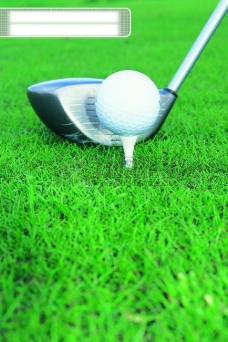 高尔夫运动休闲高尔夫户外运动健身高尔夫球全方位平面设计素材辞典