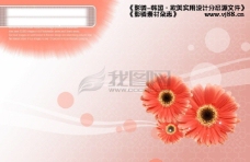 艺术花束鲜花花朵花卉花束插花艺术盆栽影骑韩国实用设计分层源文件PSD源文件