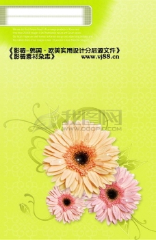 艺术花束鲜花花朵花卉花束插花艺术盆栽影骑韩国实用设计分层源文件PSD源文件