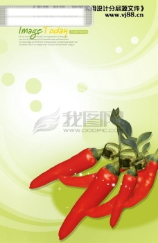 韩国菜辣椒新鲜健康营养蔬菜影骑韩国实用设计分层源文件PSD源文件