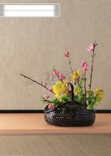 岛国节日小饰品樱花植物装饰品盆栽