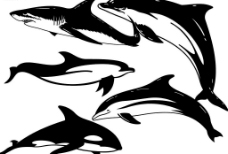 卡通海豚及鲨鱼笔刷
