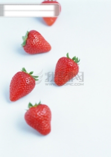 水果大全全球首席大百科水果糕点甜点点心美味甜品草莓面包