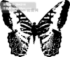 蝴蝶百科全球首席大百科水墨黑白笔刷昆虫蝴蝶虫子拓印
