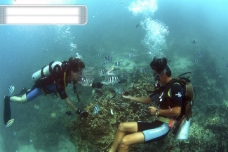 海底探索全球首席大百科热带岛屿海岛海底风景探索