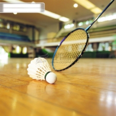 体育比赛网球选手比赛竞赛激烈球拍场地羽毛球矫健熟练球员体育运动健康广告素材大辞典