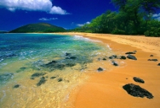 夏威夷毛伊岛海滩图片