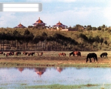 中国内蒙古自治区少数民族游牧风光风景风景特色民风民俗广告素材大辞典