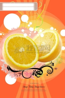 水果花纹底纹橙子切开的橙子09韩国设计元素psd分层素材源文件