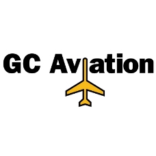 全球航空业标志设计0203