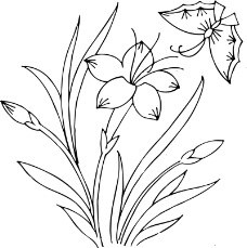 蝴蝶和花的简笔画