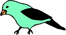 鸟类动物0789