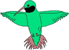 鸟类动物1341