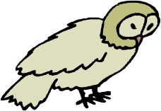 鸟类动物0787